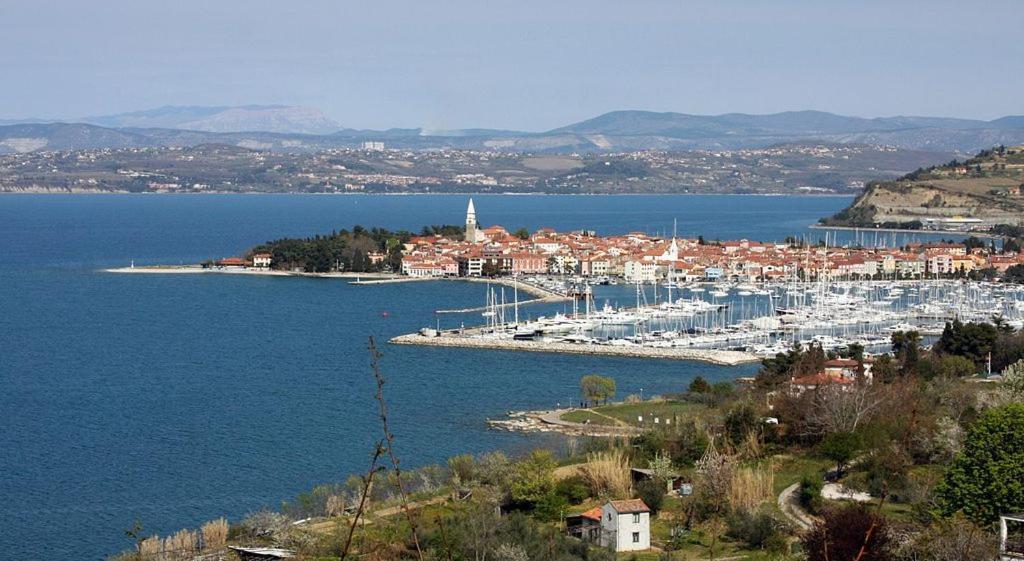 Apartma Soncek Izola Buitenkant foto